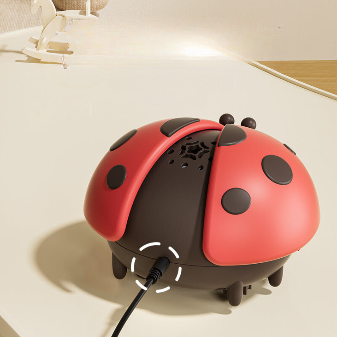 Ladybug Airball Toy